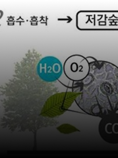 미세먼지의 심각성이미지